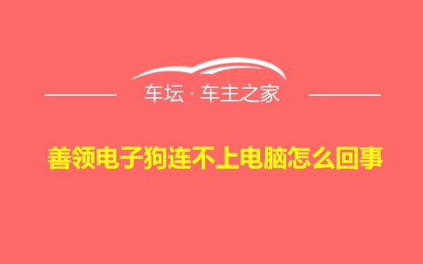 善领电子狗连不上电脑怎么回事