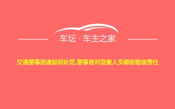 交通肇事逃逸如何处罚,肇事者对受害人负哪些赔偿责任