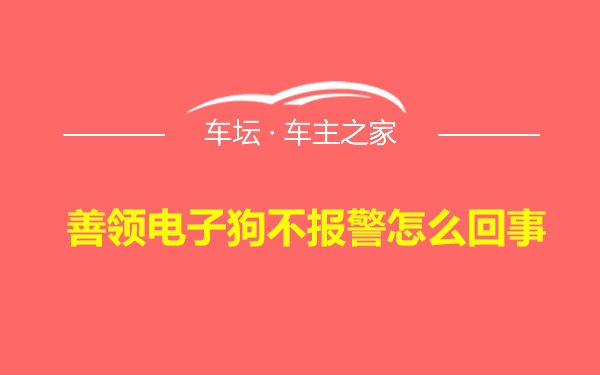 善领电子狗不报警怎么回事