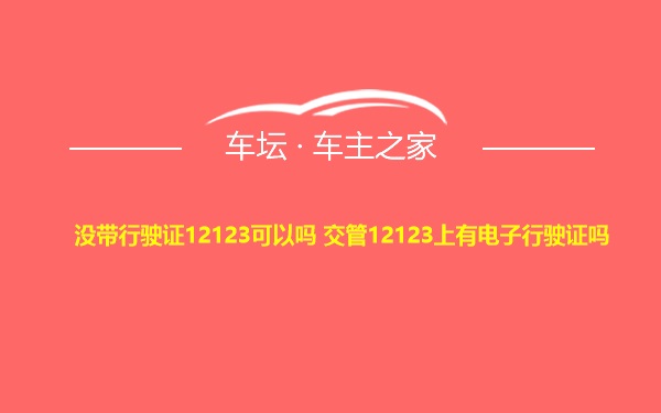 没带行驶证12123可以吗 交管12123上有电子行驶证吗