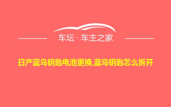 日产蓝鸟钥匙电池更换,蓝鸟钥匙怎么拆开