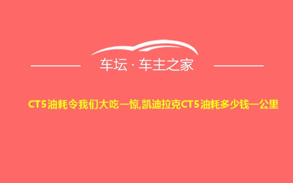 CT5油耗令我们大吃一惊,凯迪拉克CT5油耗多少钱一公里