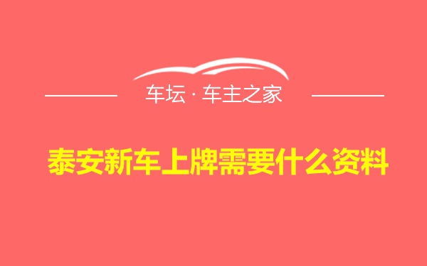 泰安新车上牌需要什么资料