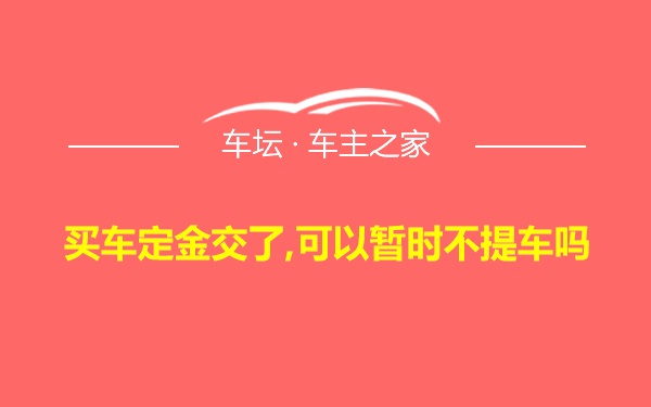 买车定金交了,可以暂时不提车吗