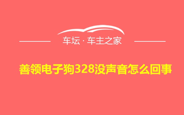 善领电子狗328没声音怎么回事