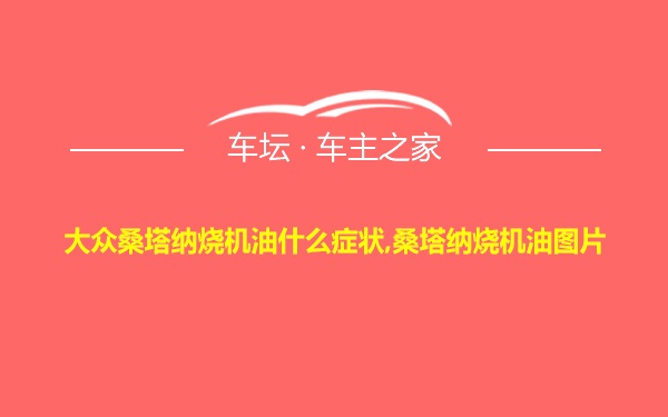 大众桑塔纳烧机油什么症状,桑塔纳烧机油图片