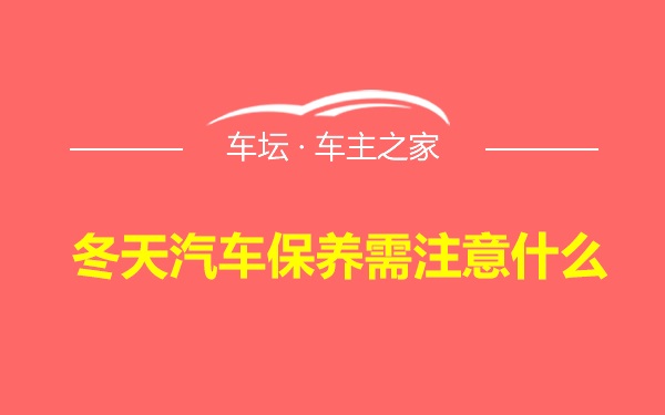 冬天汽车保养需注意什么