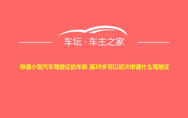 申请小型汽车驾驶证的年龄 满20岁可以初次申请什么驾驶证