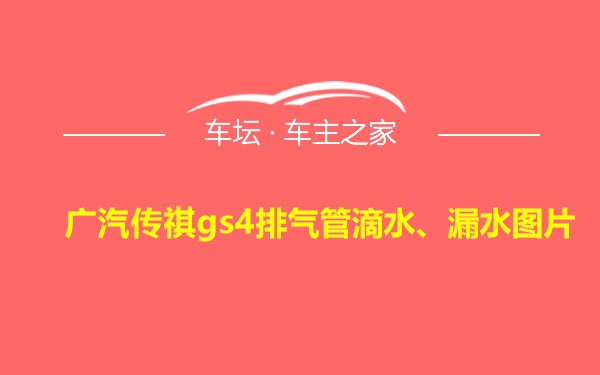 广汽传祺gs4排气管滴水、漏水图片