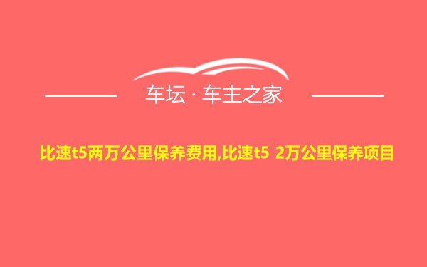 比速t5两万公里保养费用,比速t5 2万公里保养项目