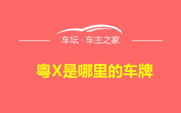 粤X是哪里的车牌