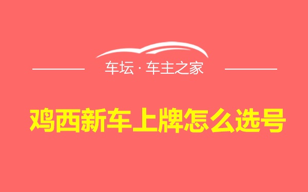 鸡西新车上牌怎么选号