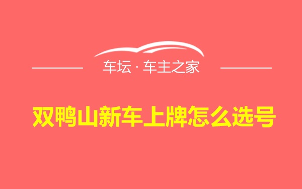 双鸭山新车上牌怎么选号