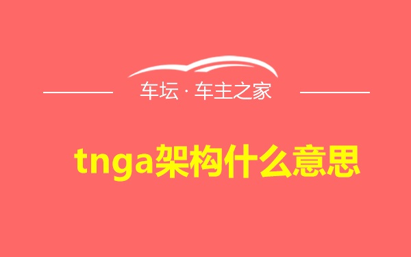 tnga架构什么意思