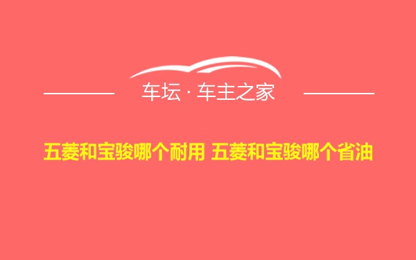 五菱和宝骏哪个耐用 五菱和宝骏哪个省油