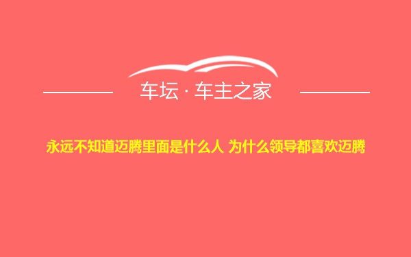 永远不知道迈腾里面是什么人 为什么领导都喜欢迈腾