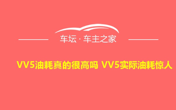 VV5油耗真的很高吗 VV5实际油耗惊人