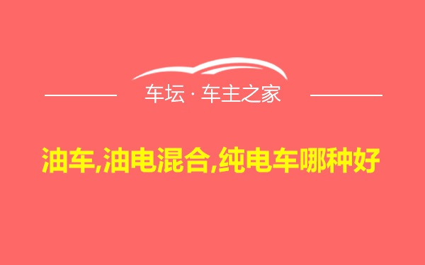 油车,油电混合,纯电车哪种好