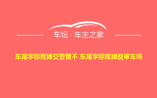 车尾字标抠掉交警管不 车尾字标抠掉能审车吗