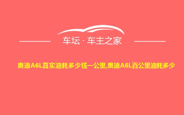 奥迪A6L真实油耗多少钱一公里,奥迪A6L百公里油耗多少