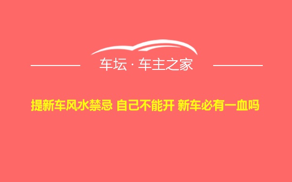 提新车风水禁忌 自己不能开 新车必有一血吗