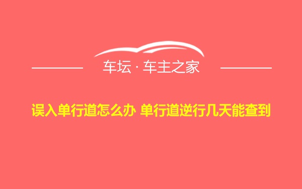 误入单行道怎么办 单行道逆行几天能查到