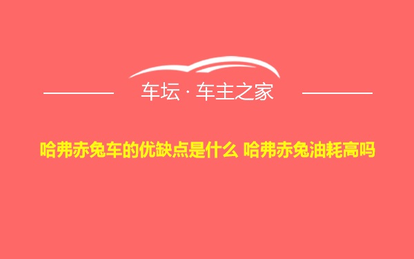 哈弗赤兔车的优缺点是什么 哈弗赤兔油耗高吗