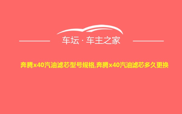 奔腾x40汽油滤芯型号规格,奔腾x40汽油滤芯多久更换