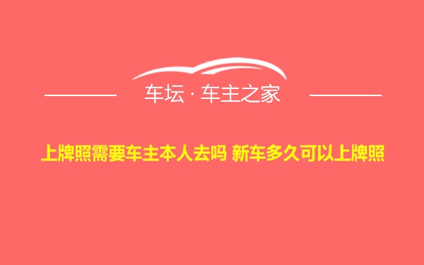 上牌照需要车主本人去吗 新车多久可以上牌照