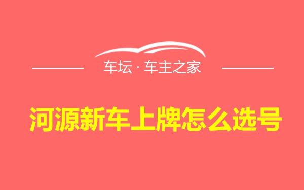 河源新车上牌怎么选号