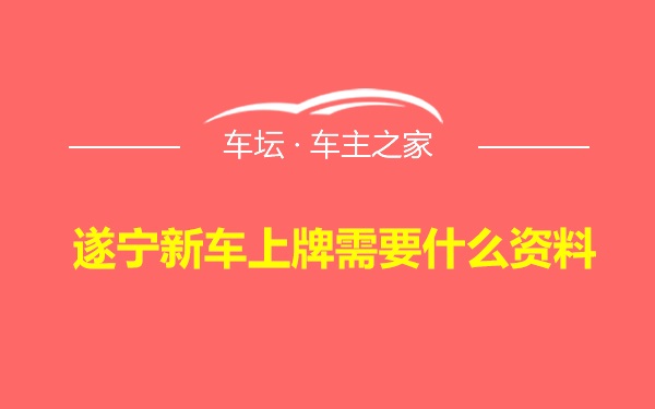 遂宁新车上牌需要什么资料