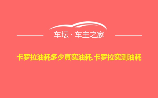 卡罗拉油耗多少真实油耗,卡罗拉实测油耗