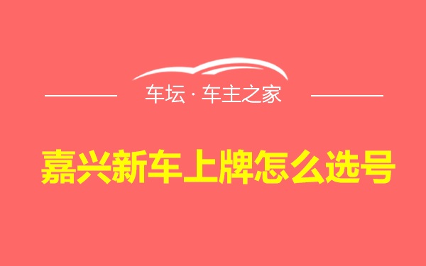 嘉兴新车上牌怎么选号