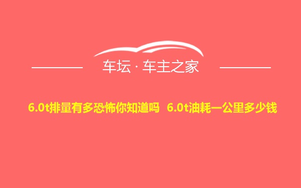 6.0t排量有多恐怖你知道吗 6.0t油耗一公里多少钱