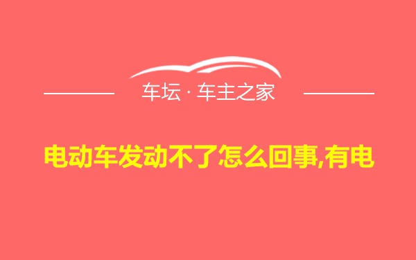 电动车发动不了怎么回事,有电