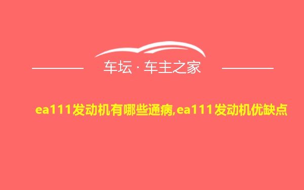 ea111发动机有哪些通病,ea111发动机优缺点