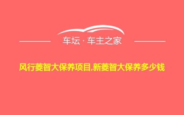 风行菱智大保养项目,新菱智大保养多少钱