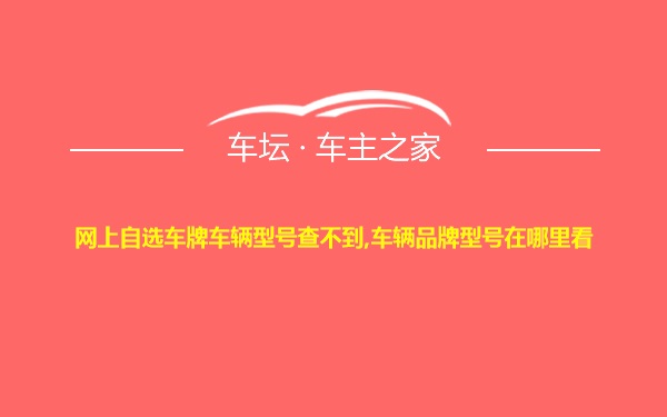 网上自选车牌车辆型号查不到,车辆品牌型号在哪里看