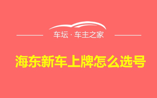 海东新车上牌怎么选号