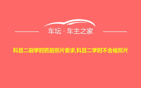 科目二刷学时抓拍照片要求,科目二学时不合格照片