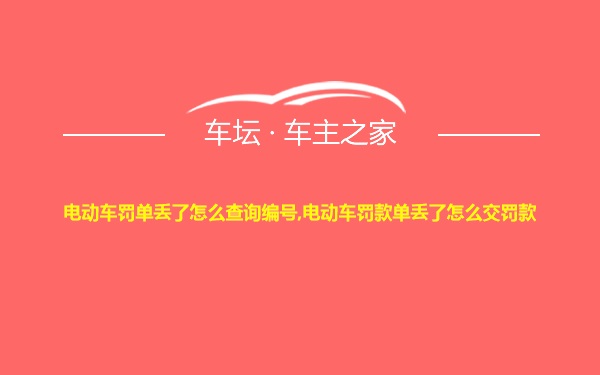 电动车罚单丢了怎么查询编号,电动车罚款单丢了怎么交罚款