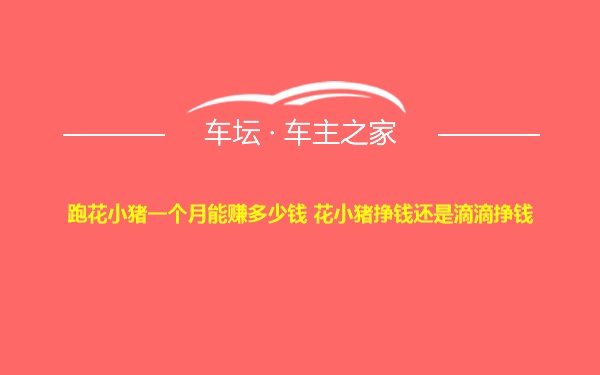 跑花小猪一个月能赚多少钱 花小猪挣钱还是滴滴挣钱