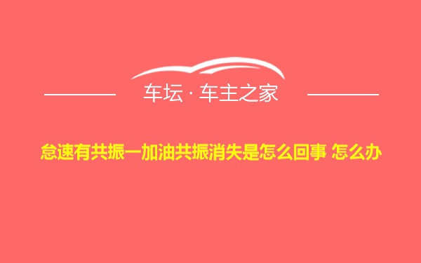 怠速有共振一加油共振消失是怎么回事 怎么办