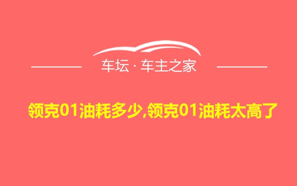 领克01油耗多少,领克01油耗太高了