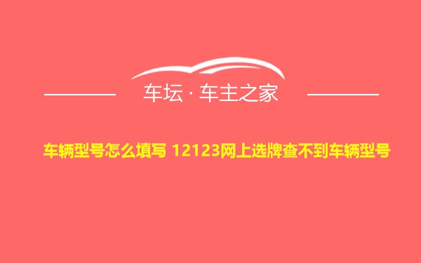 车辆型号怎么填写 12123网上选牌查不到车辆型号