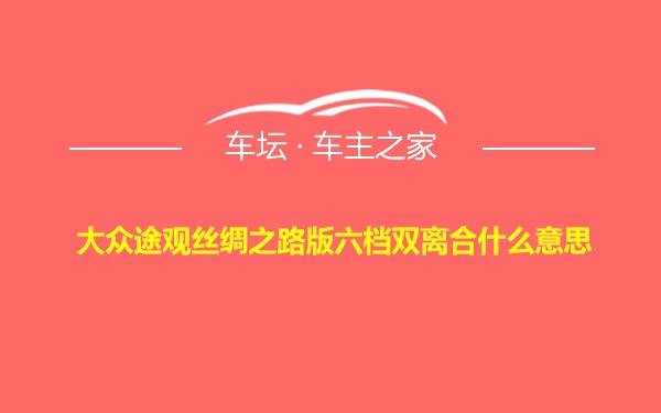 大众途观丝绸之路版六档双离合什么意思