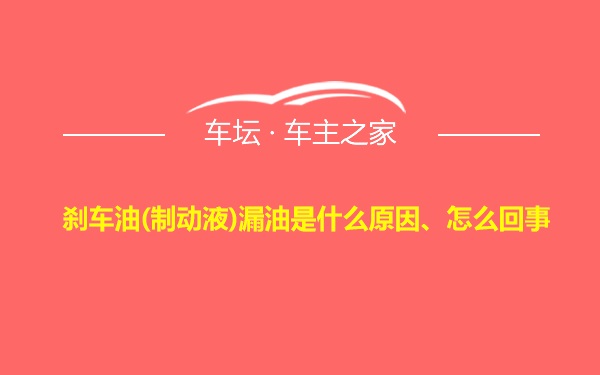 刹车油(制动液)漏油是什么原因、怎么回事