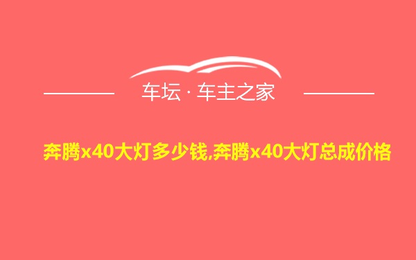 奔腾x40大灯多少钱,奔腾x40大灯总成价格