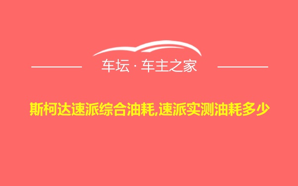 斯柯达速派综合油耗,速派实测油耗多少