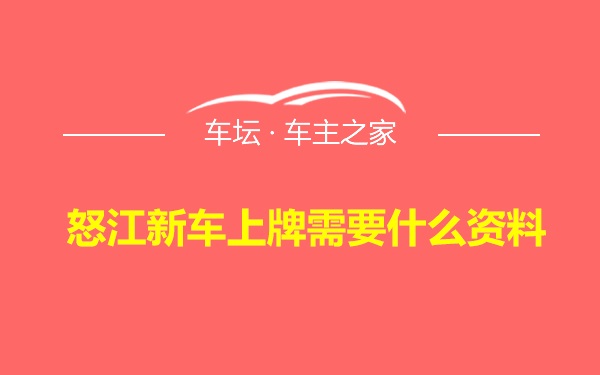 怒江新车上牌需要什么资料